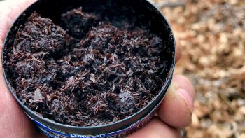 Image of chew tobacco. Learn more about chew and the risks of using it.